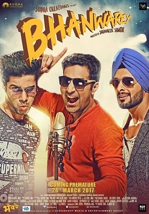 Bhanwarey 2017 Movie | Hindi Full Movie DVDRip x264 [850MB]