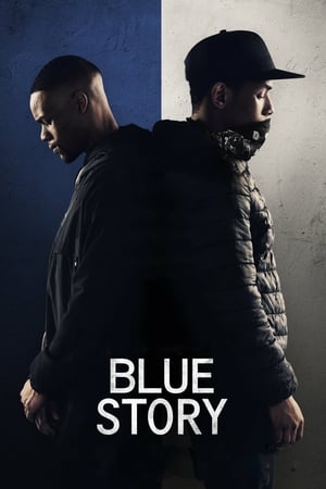Blue Story (2019) Dual Audio HDRip | Hindi Full Movie – 480p