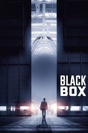 Boxed 2021 Movie | Hindi Full Movie HDRip – [330MB]
