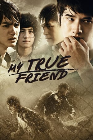 Friends Never Die (2012) Dubbed | Hindi Full Movie HDRip [1.1GB]