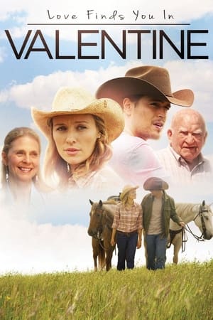 Love Finds You in Valentine (2016) Dual Audio | Hindi Full Movie BluRay [800MB]