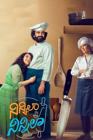 Ninnila Ninnila (2021) Movie | Hindi Full Movie HDRip x264 [1GB]