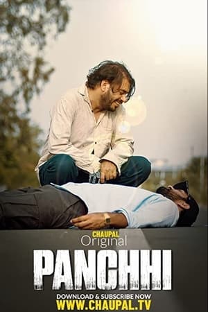 Panchhi 2021 Punjabi Movie | Hindi Full Movie HDRip x264 [750MB]