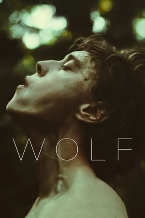 Wolf (2021) Dual Audio HDRip | Hindi Full Movie – 480p